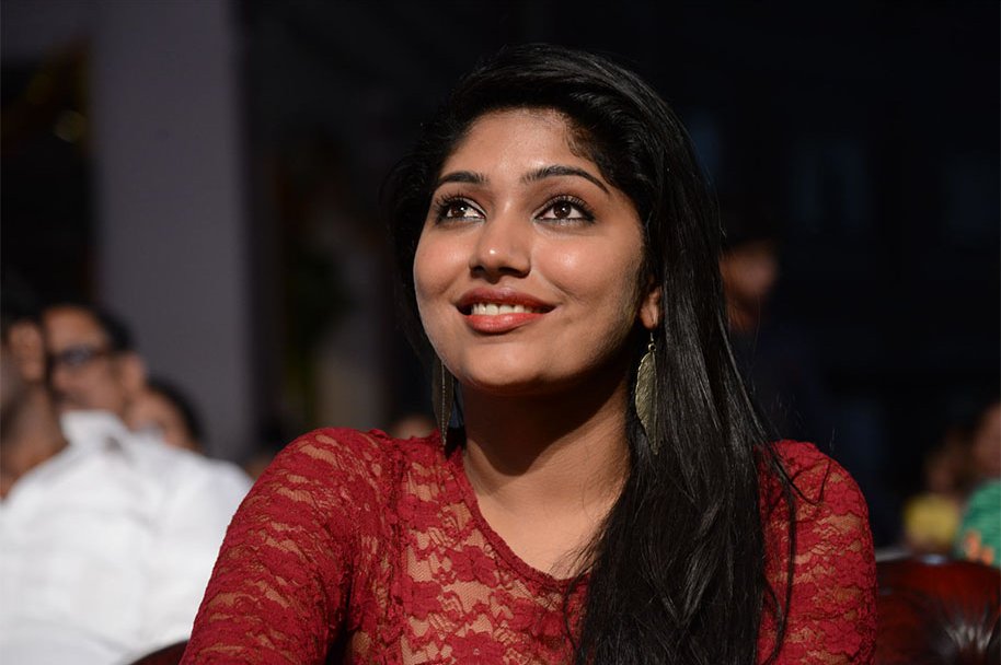 Ulavacharu-Biryani-Audio-Launch